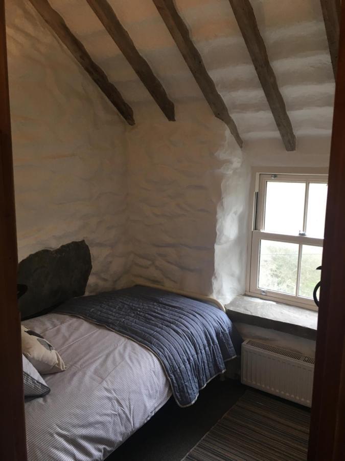 Gellibant Cottage ليانبيدر المظهر الخارجي الصورة